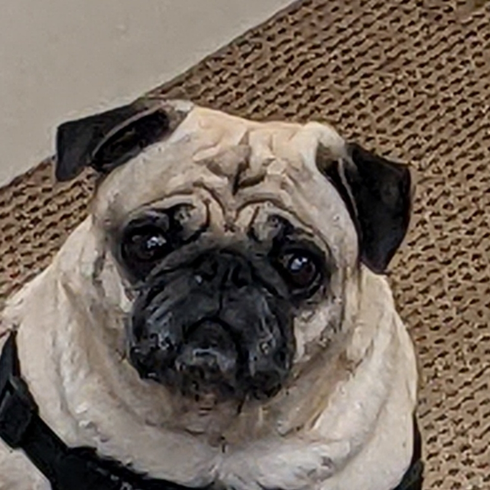Meet Tim